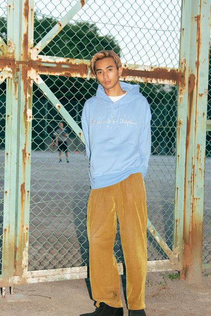 Protected by Dolphins Lightweight Hoodie