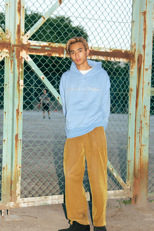 Protected by Dolphins Lightweight Hoodie