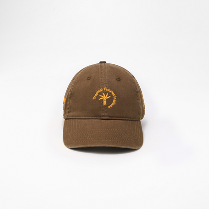 Thinking Like an Archipelago Cap in Brown