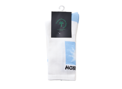 Today Tomorrow Socks